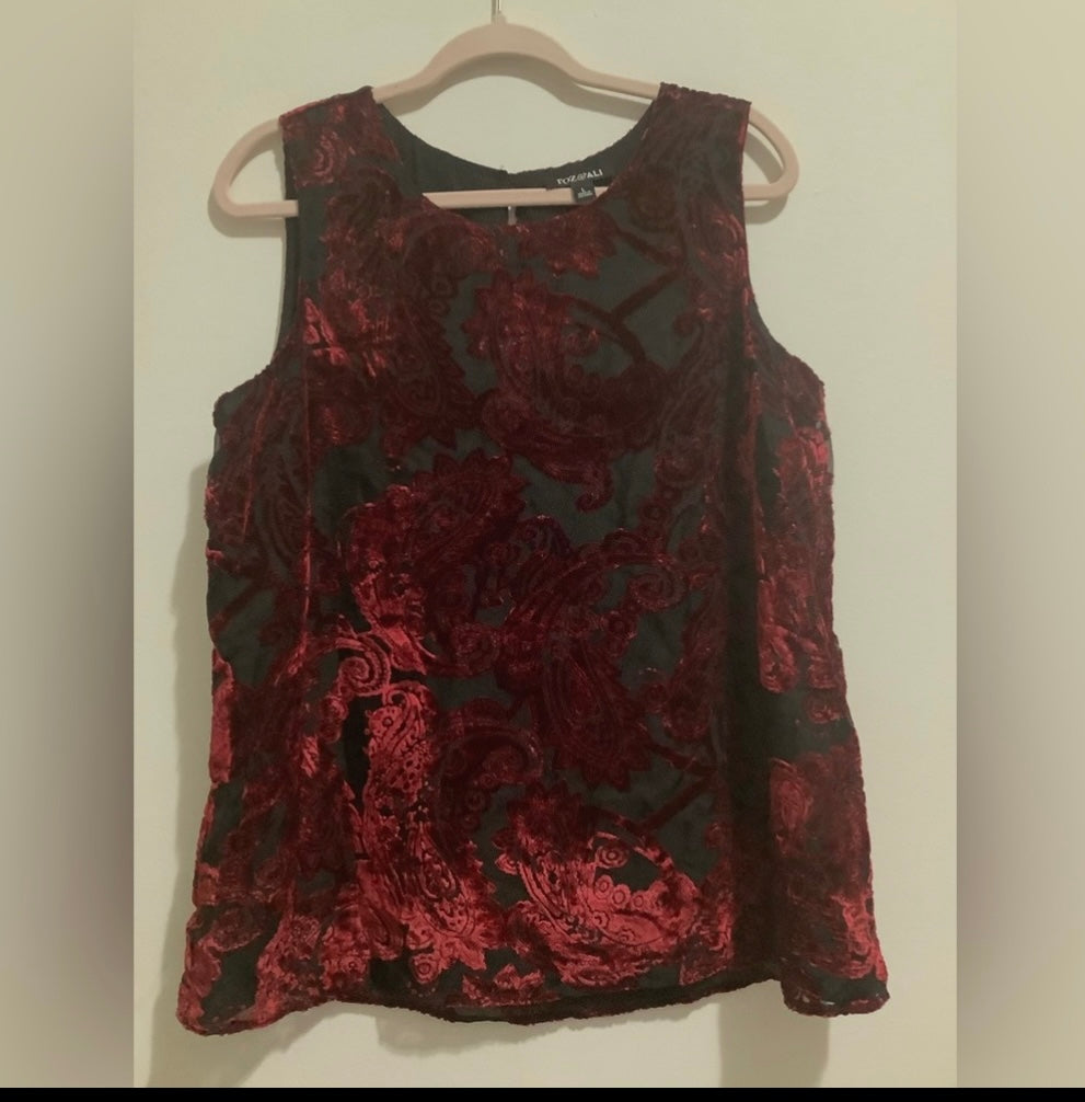 🍎 velvet over black blouse