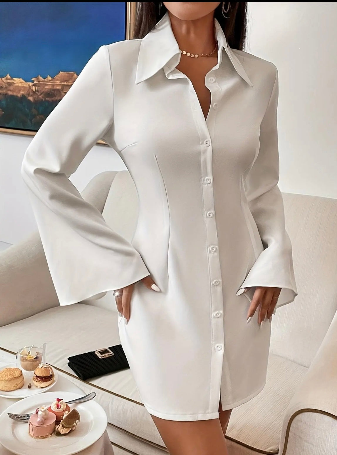 Elegant Long sleeve collared top dress