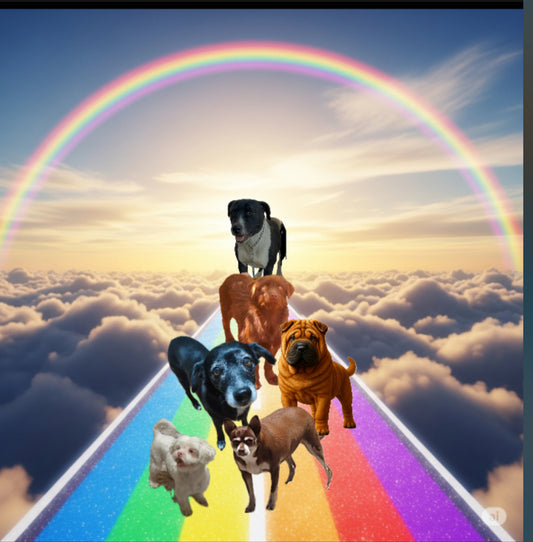 Personalized Pet Memorial Video – Celebrate the Life of Your Beloved Pet