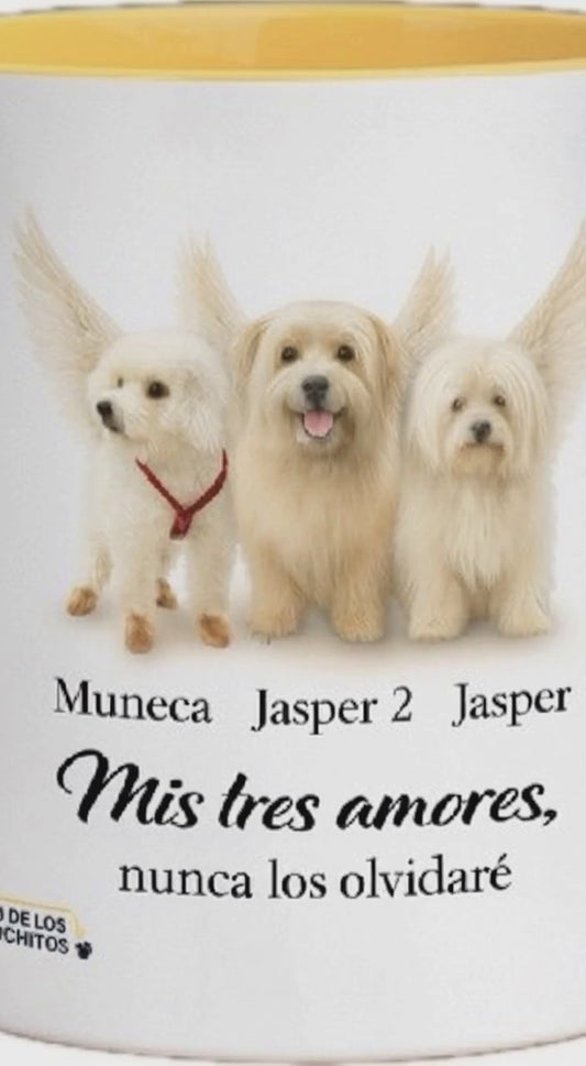 Mug with Color Inside