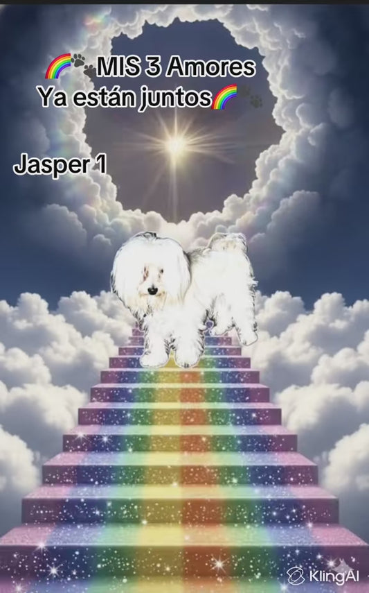 Personalized Pet Memorial Video – Celebrate the Life of Your Beloved Pet